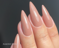 Almond Fudge From Sugar & Spice Collection - HEMA & TPO FREE Gel Polish