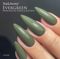 Cedar - From Evergreen Collection - HEMA & TPO FREE Gel Polish